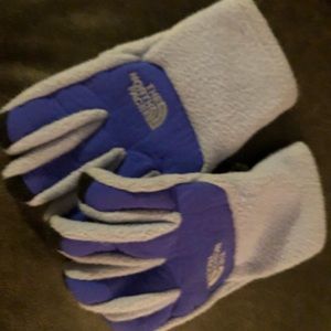 The North Face Accessories - North face gloves The North Face Accessories - North face gloves